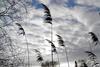 Viento y lluvias: as&iacute; estar&aacute; el clima este viernes 24 de julio
