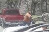 Video: Ri&ntilde;a en el tr&aacute;nsito detiene el paso vehicular 