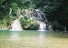 Explora el Sendero Las Escobas: aves, pozas y selva en Izabal