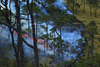 Los ocho incendios forestales que permanecen activos en Guatemala