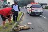 Conductor es atacado por perro herido al intentar auxiliarlo