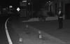 Iba a casa para ver a su hija pero fue asesinado