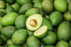 El aguacate guatemalteco se consolida en el mercado extranjero