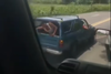 Graban intento de asalto a transporte pesado en ruta a Escuintla