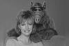 Muere Anne Schedeen actriz que interpret&oacute; a Kate Tanner en ALF