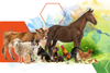     Universidad Galileo reunir&aacute; expertos en salud veterinaria