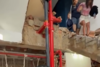 As&iacute; logr&oacute; una familia salir de entre los escombros en Venezuela