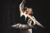 Ballet Cl&aacute;sico de San Petersburgo presenta el Lago de los Cisnes