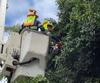 Municipalidad inicia podas en rutas procesionales de Semana Santa
