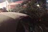 Conductor fallece tras chocar contra un &aacute;rbol