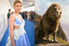 &ldquo;Narnia&rdquo; llegar&aacute; a los cines de todo el mundo en 2027