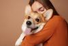 Identifica las razones por las que los perros muerden todo