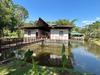 Escapa a Villa Amanda: Piscinas y tours de cacao en Suchitep&eacute;quez