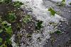 &iexcl;Con viento y granizo! Fuertes lluvias la tarde de este martes