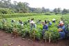 Pruebas de admisi&oacute;n ENCA: fecha, sedes, carreras y requisitos