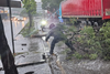 &iexcl;Precauci&oacute;n! &Aacute;rbol ca&iacute;do obstaculiza el paso en zona 2