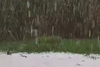 Fuerte lluvia y granizo sorprenden en San Marcos