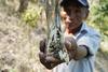 Conred destina Q500 millones para asistencia alimentaria