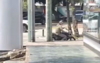 Conductor intenta evadir a la PMT y termina multado (video)