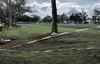 &iquest;Cu&aacute;ndo reabrir&aacute;n el Campo Marte?