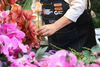 Plantas ornamentales buscan capitalizar el arancel cero en EE.UU.