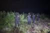Erradican plantaci&oacute;n de droga valorada en m&aacute;s de Q31 millones
