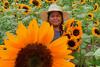 Visita el campo de girasoles que impulsa turismo en Suchitep&eacute;quez