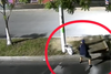 Conductor se detiene para tirar basura en la v&iacute;a p&uacute;blica (Video)