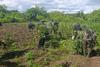 Marihuana valorada en Q6 millones fue decomisada en Pet&eacute;n