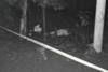Joven conductor fallece tras sufrir un ataque armado