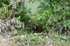 Una ni&ntilde;a se salva y otra fallece luego de caer al r&iacute;o Cahab&oacute;n