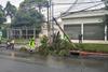 Veh&iacute;culo huye tras derribar un poste y un &aacute;rbol en la zona 7